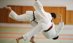 柔道などでは腱板損傷を起こしやすい